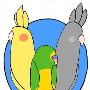 Meet your Posher, Kristina